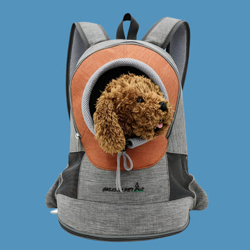 Pet Travel Backpack